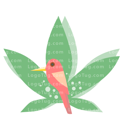 Vortex Studios - Abstract Logo Design